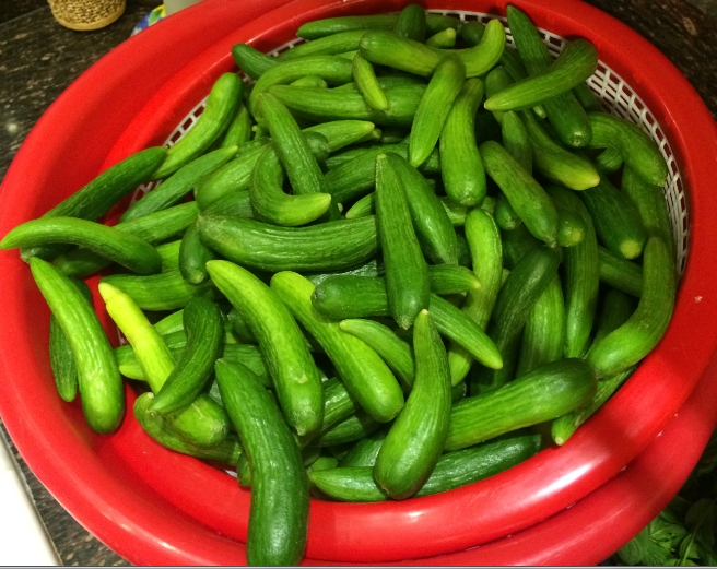 Pickles