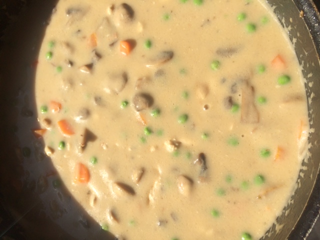Nick's Chicken with mushroom cream